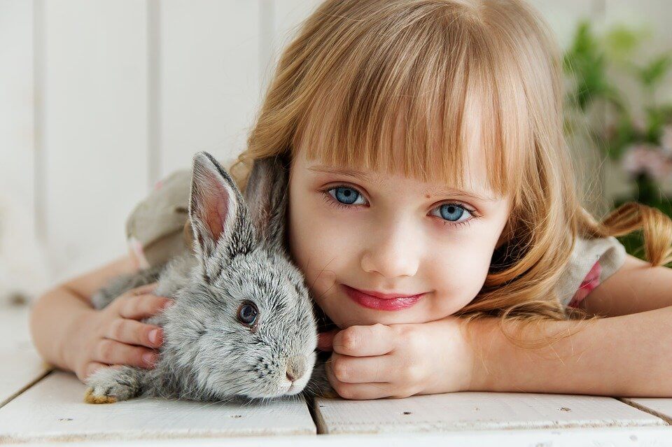 Kaninchen Ernährung: das gehört in die Nahrung: Kaninchen-Diät: Isst Ihr Kaninchen richtig? **